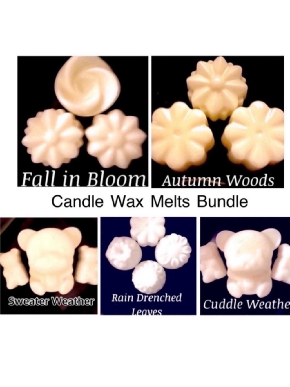 Large Fall Candle Wax Melt Set